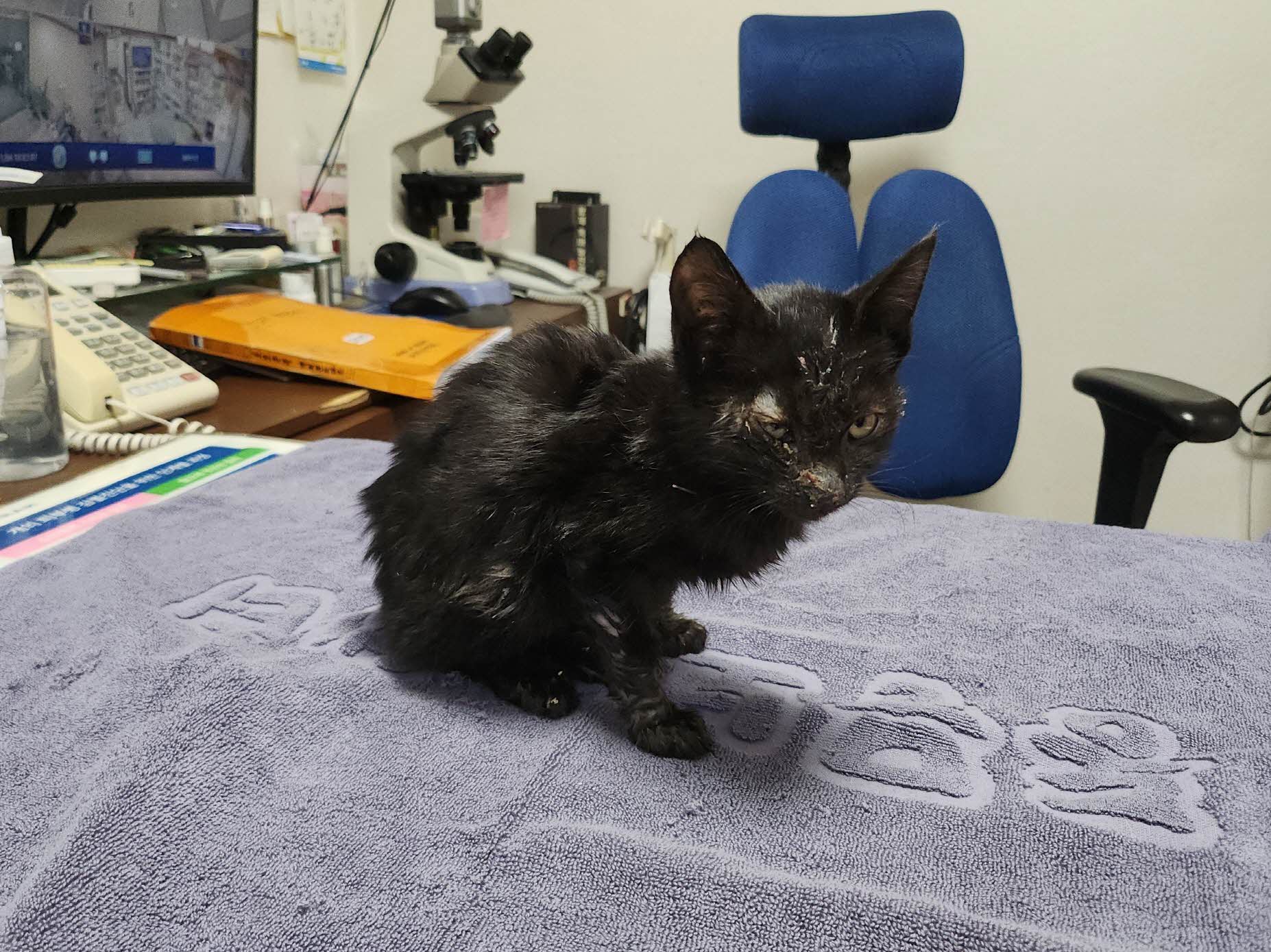 종료(자연사) 한국…